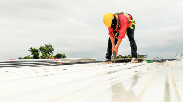 Best Asphalt Shingle Roofing  in Minden, LA