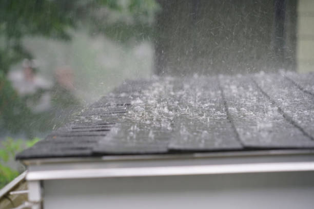 Best Roof Repair  in Minden, LA