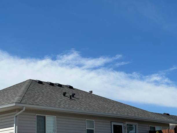 Best Roof Moss and Algae Removal  in Minden, LA