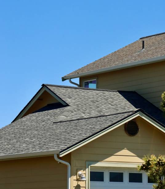 Best Skylight Installation and Repair  in Minden, LA